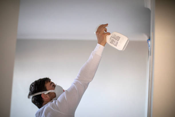 Best Commercial Mold Removal  in Patrick Springs, VA