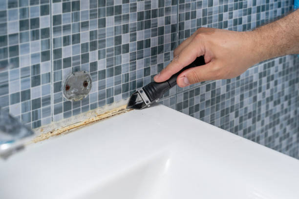 Best Home Mold Removal  in Patrick Springs, VA